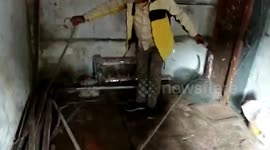 Indian rat snake enters residence's premises, gets rescued in central India