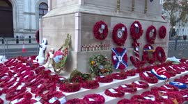 Amazingly beautiful tribute of red poppy wreaths at the foot of the Cenotaph on Whitehall