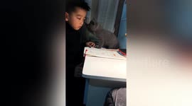 Kitten wipes away boy's tears after he was scolded by mom for not doing homework