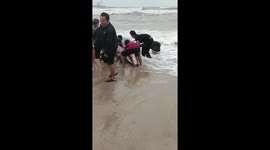 Dozens of people rescue two-ton whales stranded on the coast due to high waves in Vietnam.