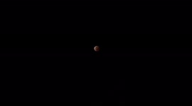 Nov 2021 Near-Total Lunar Eclipse Dazzles Skygazers In Europe, Americas, Asia-Pacific 5