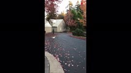 'When looking good on camera is more important than anything else *NASTY SCOOTER FAIL*
'