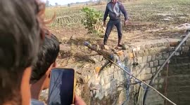 Villagers rescue crocodile from well in central India