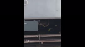 Woman falls on to tracks, get struck by train on New York subway
