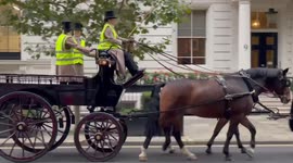 Horse-drawn carriage makes its way through central London