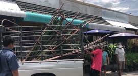 Trucks overloaded with plants at flower market in Bangkok, Thailand