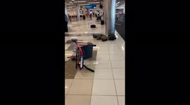 Boarding gate deserted after accidental gun discharge causes chaos at Atlanta Airport