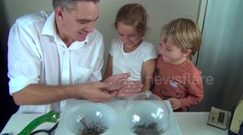 Kids totally freak out as Dad shows them a small gecko (small lizard)