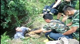 Firemen rescue dog from well in China