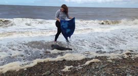 Baby seal rescued near Blackpool