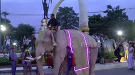 Illuminated elephants displaying Thai history