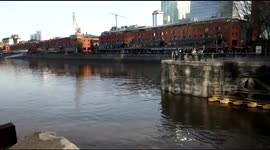 Ballena en Puerto Madero, Buenos Aires, Argentina