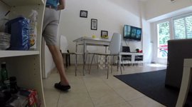 Pug Proposal - Nadav's proposal to Debbie