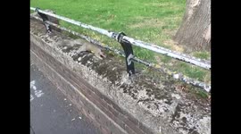 Hoxton Squirrel Particularly Friendly