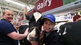 Dairy farmers march cows through Asda