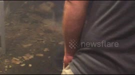 Ceiling collapses during rock concert