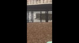 Brighton Flood