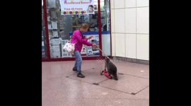 Woman takes raccoon round on scooter in Kent