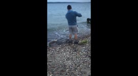 Shark fishing