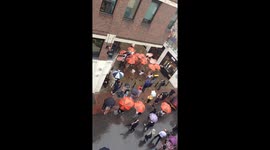 Tan Organic Promotion