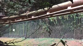 Vampire Ride At Chessington Slo Mo