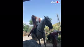 'Tell us you're riding a horse for the first time without telling us you're riding a horse for the first time
'
