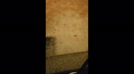 Spain: Orange Alert Issued After Severe Hail Hits Alicante