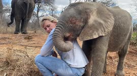 HERD Founder, Adine Roode, visits orphaned elephant Khanyisa in the South African wilderness