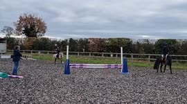 Pony dodges jump and sends kid flying and child takes down jump.