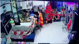 Playful dogs send Christmas tree crashing to floor in Jakarta shop