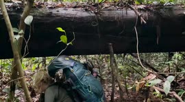 British explorer becomes first person to complete uncharted 253mile trek through the Amazon