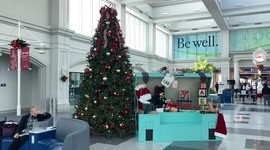 Christmas Sightings in Columbia, South Carolina United States