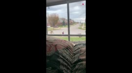 'How to deal with a ding dong ditcher *Classic REVERSE PRANK!* '