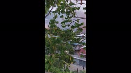 Solomon Islands: Smoke Billows From Fires In Chinatown District In Honiara As Riots Continue