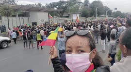 Ethiopians sing national anthem and protest against alleged 'fake news', at UK embassy in Addis Ababa