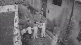 Tiff over lane-sweeping turns into huge neighbourhood brawl in Rohtak, India