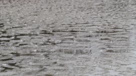 This is cool pancake ice floating around on Lake Superior Ashland WI