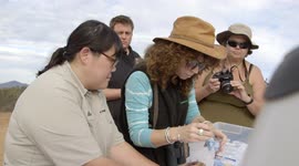How Zookeepers Are Saving The Rare Quino Checkerspot Butterfly