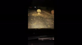 US: Powerful Santa Ana Winds Hit Southern California Through Thanksgiving