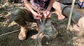 Snake trapped in netting is cut free by rescuer in central India
