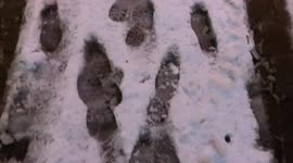 Watch this snowy scene in the historic town of Haworth during Storm Arwen