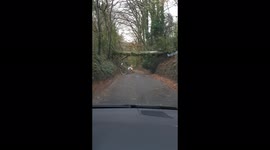 Storm Arwen: Fallen tree blocks road in Northamptonshire