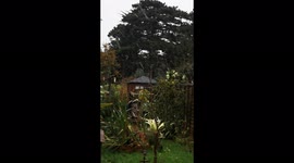Watch as snow and strong winds from Storm Arwen hits Tewkesbury
