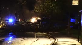 Storm Arwen: Tree blocks road in Edinburgh