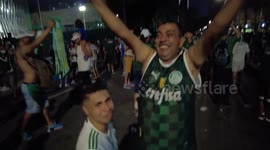 Jubilant fans celebrate Palmeiras winning Copa Libertadores in Brazil