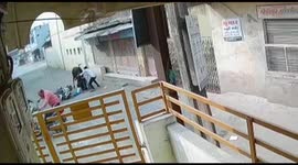 Holy cow! Rowdy bovine attacks and injures 7 in northwestern India