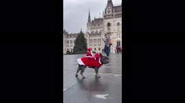 Adorable French bulldog with Santa on his back goes sightseeing in Budapest