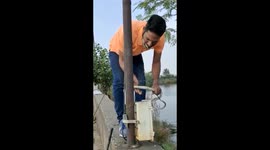 Rat snake rescued after getting head trapped inside lampost in eastern India