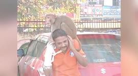 Monkey clings to patient's head outside hospital in central India