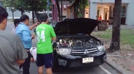 Rescue team catch python hiding in car engine in Thailand